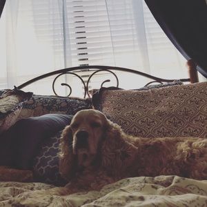 Meet your Posher, Marie